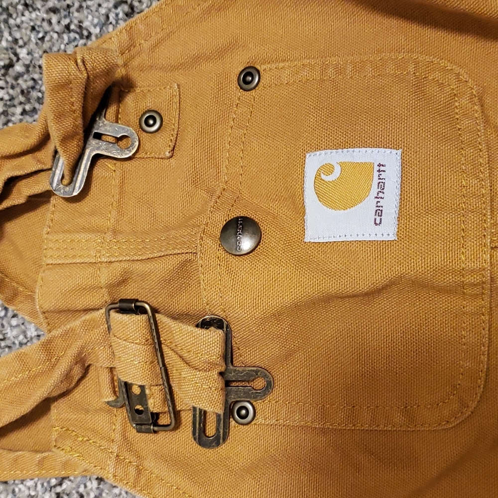 COPY - Carhartt Bibs/overalls